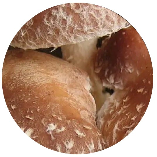 shiitake mushroom
